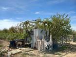 Продава ПИ, Стара Загора, Колена Продава ПИ, Стара Загора, Колена